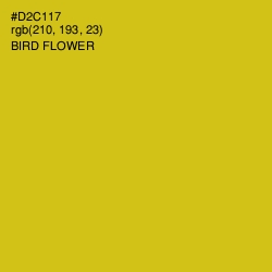 #D2C117 - Bird Flower Color Image