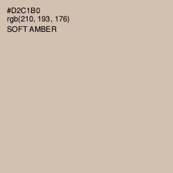 #D2C1B0 - Soft Amber Color Image