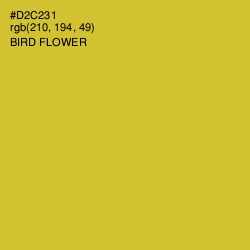#D2C231 - Bird Flower Color Image