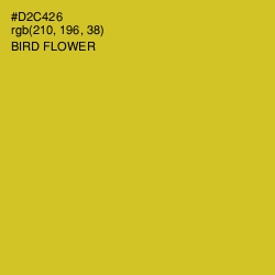 #D2C426 - Bird Flower Color Image