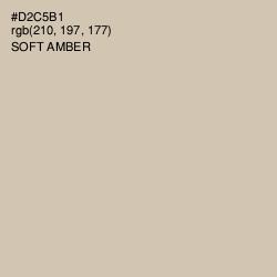 #D2C5B1 - Soft Amber Color Image