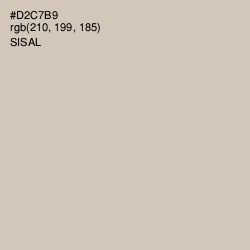 #D2C7B9 - Sisal Color Image