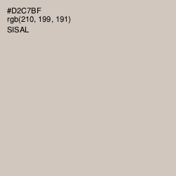 #D2C7BF - Sisal Color Image