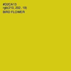 #D2CA13 - Bird Flower Color Image