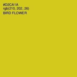 #D2CA1A - Bird Flower Color Image