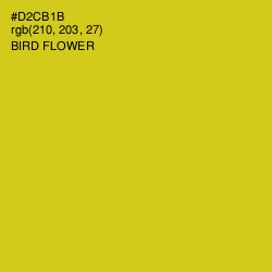 #D2CB1B - Bird Flower Color Image