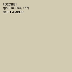 #D2CBB1 - Soft Amber Color Image
