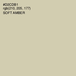 #D2CDB1 - Soft Amber Color Image