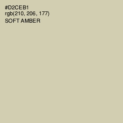 #D2CEB1 - Soft Amber Color Image