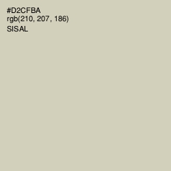 #D2CFBA - Sisal Color Image