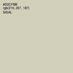 #D2CFBB - Sisal Color Image