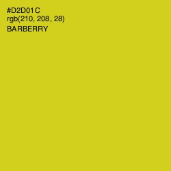 #D2D01C - Barberry Color Image