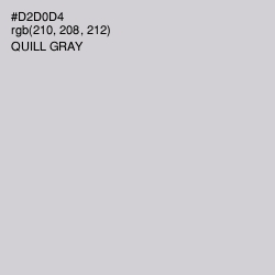 #D2D0D4 - Quill Gray Color Image