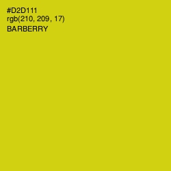 #D2D111 - Barberry Color Image