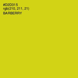 #D2D315 - Barberry Color Image