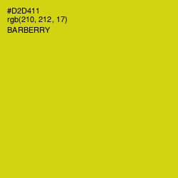 #D2D411 - Barberry Color Image