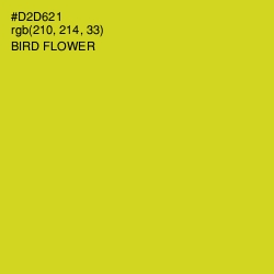 #D2D621 - Bird Flower Color Image