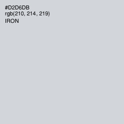 #D2D6DB - Iron Color Image