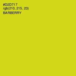 #D2D717 - Barberry Color Image