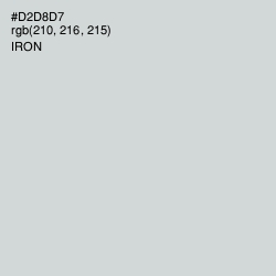 #D2D8D7 - Iron Color Image