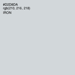 #D2D8DA - Iron Color Image