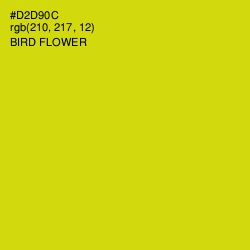 #D2D90C - Bird Flower Color Image