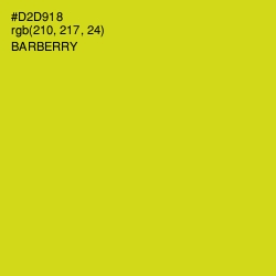 #D2D918 - Barberry Color Image