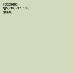 #D2D9BD - Sisal Color Image