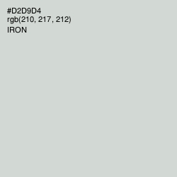 #D2D9D4 - Iron Color Image