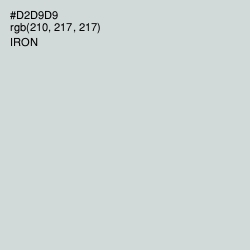 #D2D9D9 - Iron Color Image
