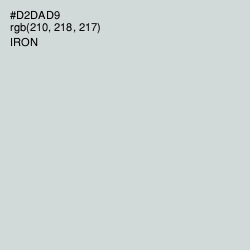 #D2DAD9 - Iron Color Image