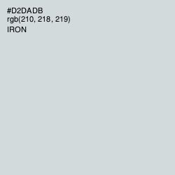 #D2DADB - Iron Color Image