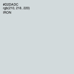 #D2DADC - Iron Color Image