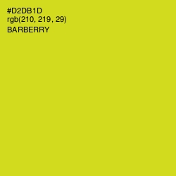 #D2DB1D - Barberry Color Image