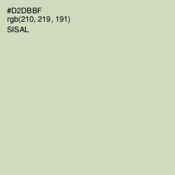 #D2DBBF - Sisal Color Image