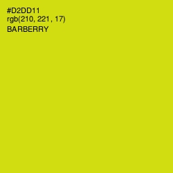 #D2DD11 - Barberry Color Image