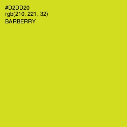 #D2DD20 - Barberry Color Image