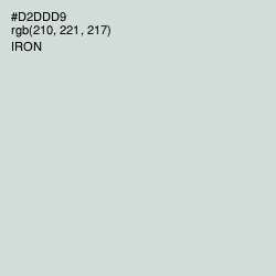 #D2DDD9 - Iron Color Image