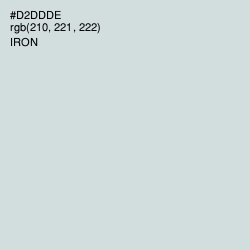 #D2DDDE - Iron Color Image