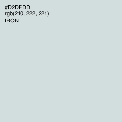 #D2DEDD - Iron Color Image