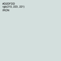 #D2DFDD - Iron Color Image