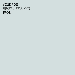 #D2DFDE - Iron Color Image