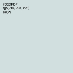 #D2DFDF - Iron Color Image