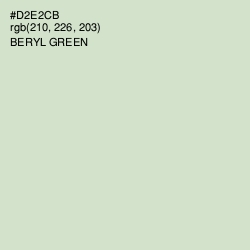 #D2E2CB - Beryl Green Color Image