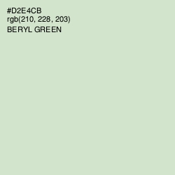 #D2E4CB - Beryl Green Color Image