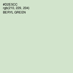 #D2E5CC - Beryl Green Color Image