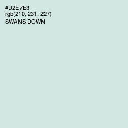 #D2E7E3 - Swans Down Color Image