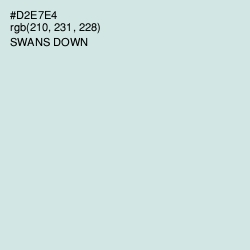 #D2E7E4 - Swans Down Color Image