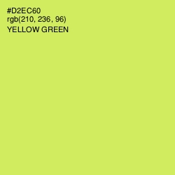 #D2EC60 - Yellow Green Color Image