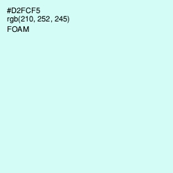 #D2FCF5 - Foam Color Image